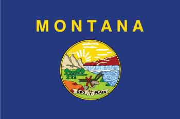 Montana 911 Operator Requirements